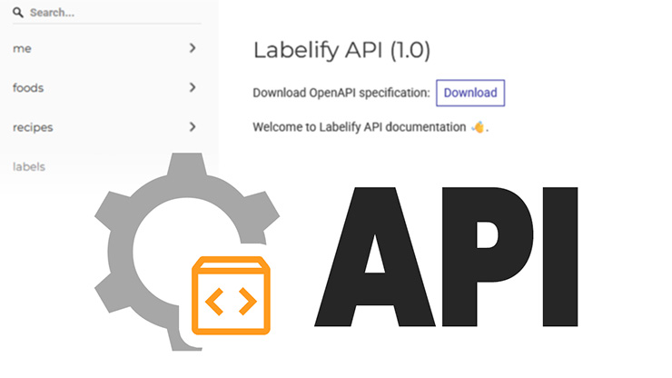 Custom integration with our API